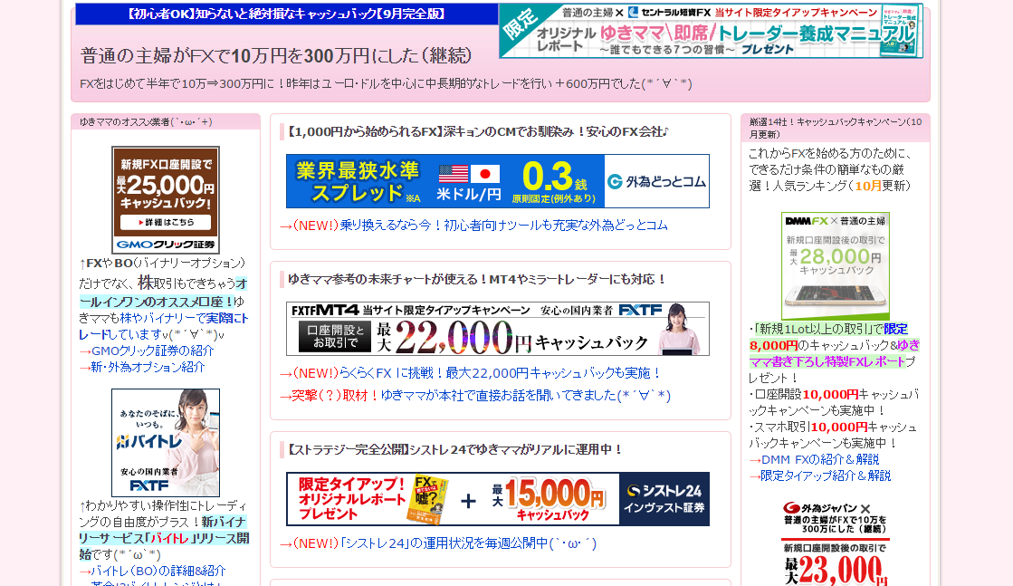 普通の主婦がFXで10万円を300万円にした（継続）